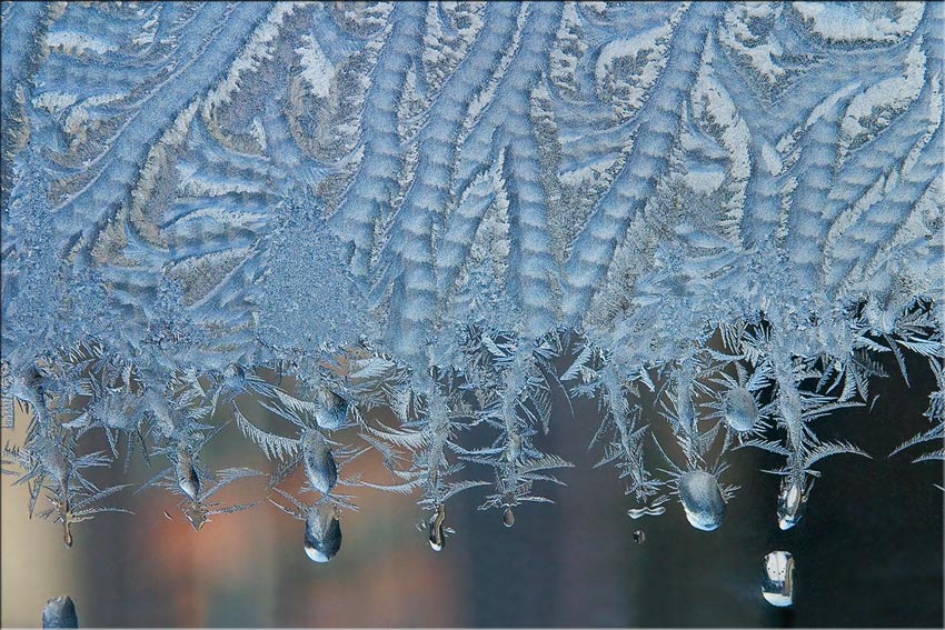 photo "WindowScape (9)" tags: macro and close-up, 