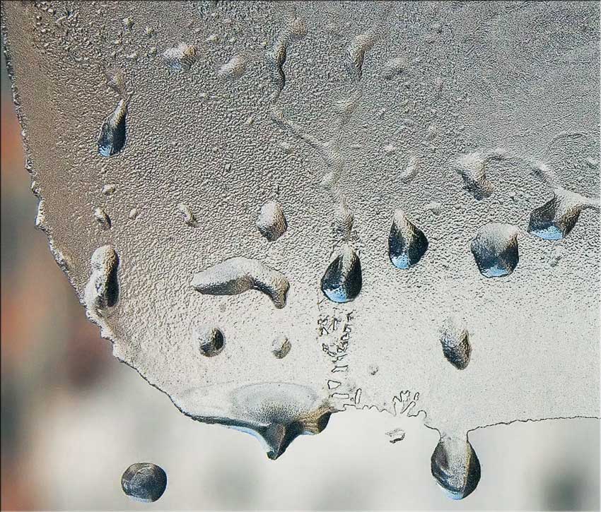 photo "WindowScape (13)" tags: macro and close-up, 