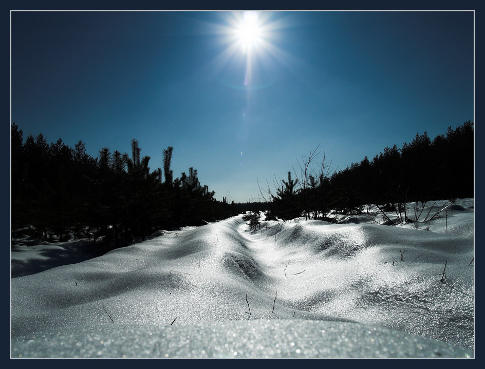 photo "Winter" tags: landscape, forest, winter