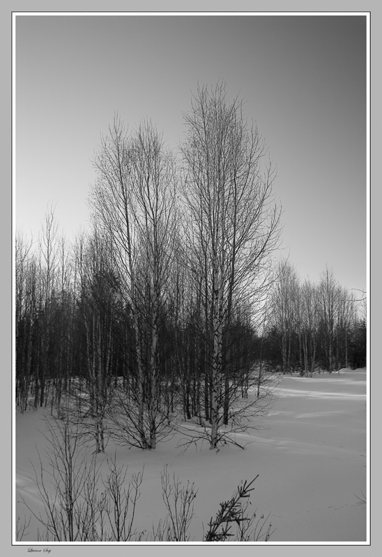 photo "***" tags: landscape, winter