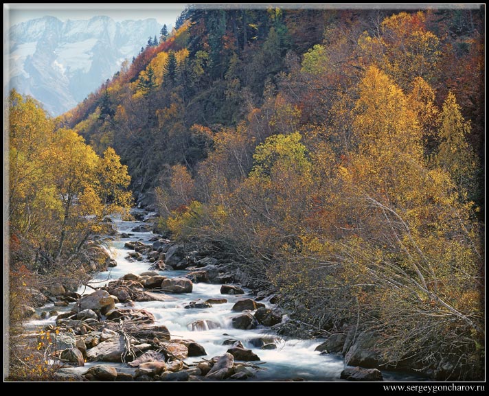 photo "The mountain river in paints of a mellow autumn" tags: landscape, forest, mountains