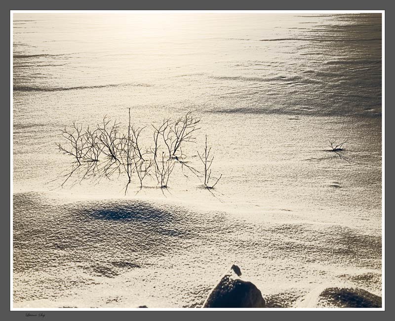 photo "***" tags: landscape, winter