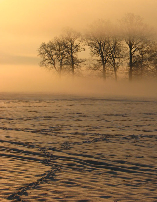 photo "***" tags: landscape, winter