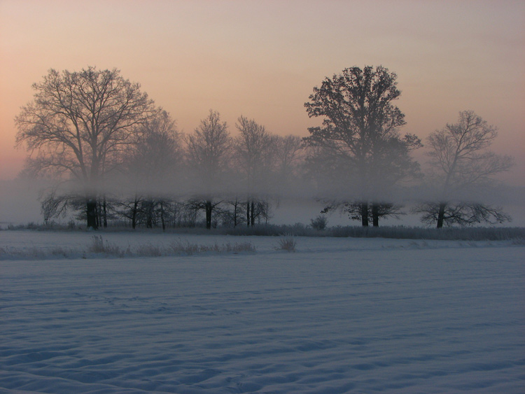 photo "***" tags: landscape, winter