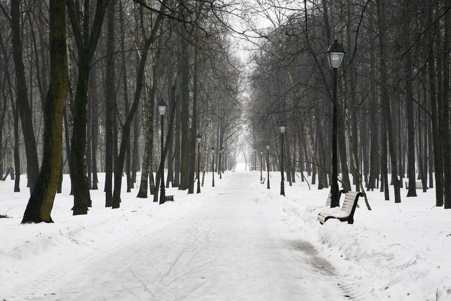 photo "Dark alley" tags: landscape, nature, winter