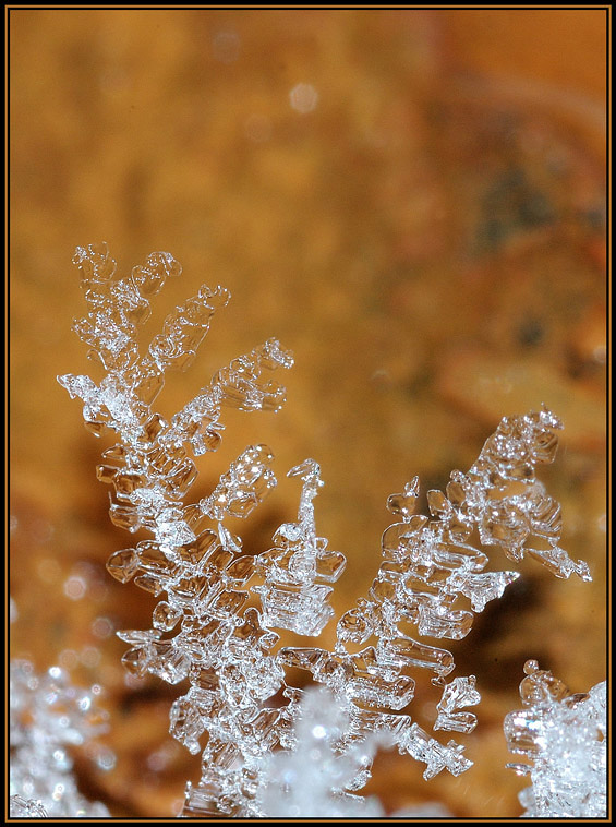 photo "Toys of Snow Queen" tags: macro and close-up, 