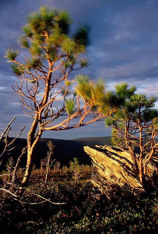 фото "Evening in mountains." метки: пейзаж, горы