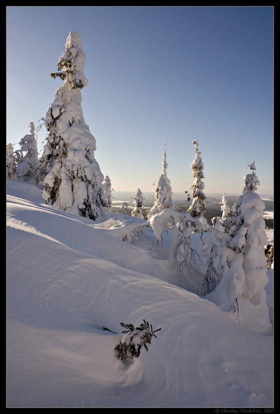 photo "Snowswirl / 167_0076" tags: landscape, forest, winter