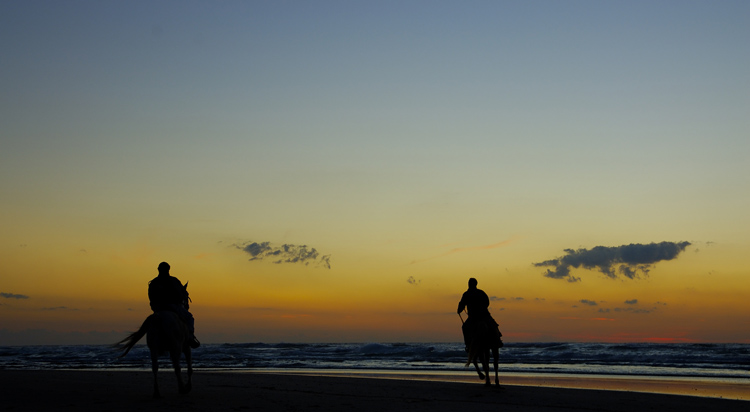 photo "Ночные Всадники" tags: landscape, sport, sunset