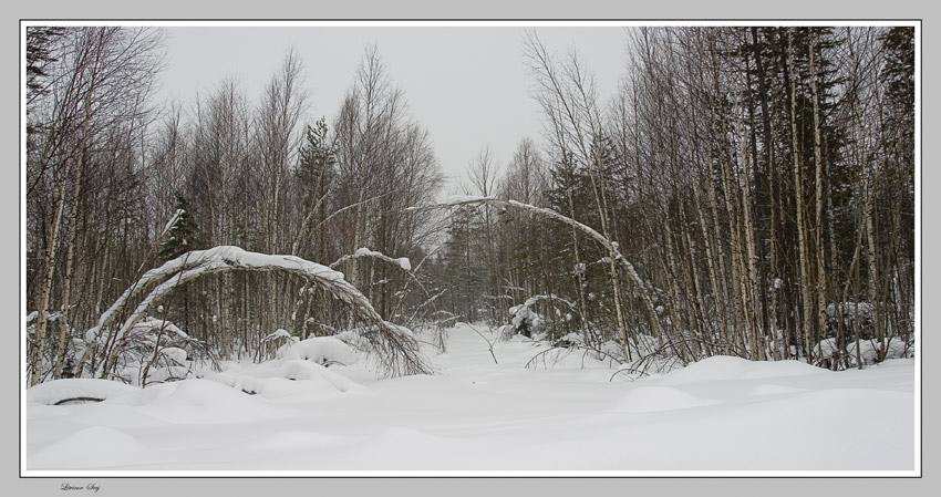 photo "***" tags: landscape, winter