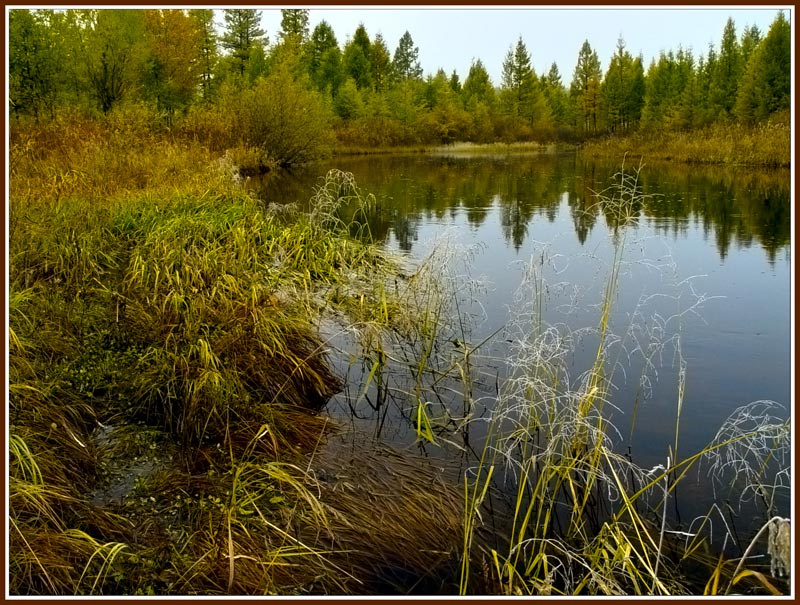 фото "Озеро" метки: пейзаж, вода