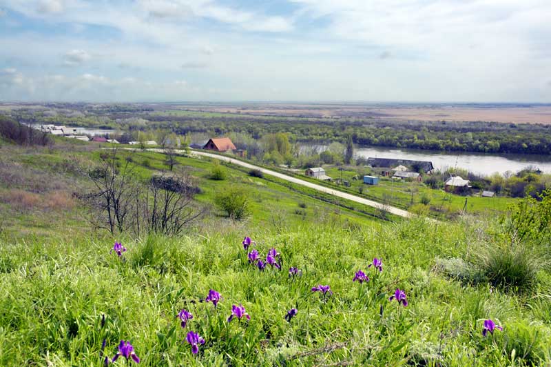 фото "Donskoe razdol`e" метки: пейзаж, 