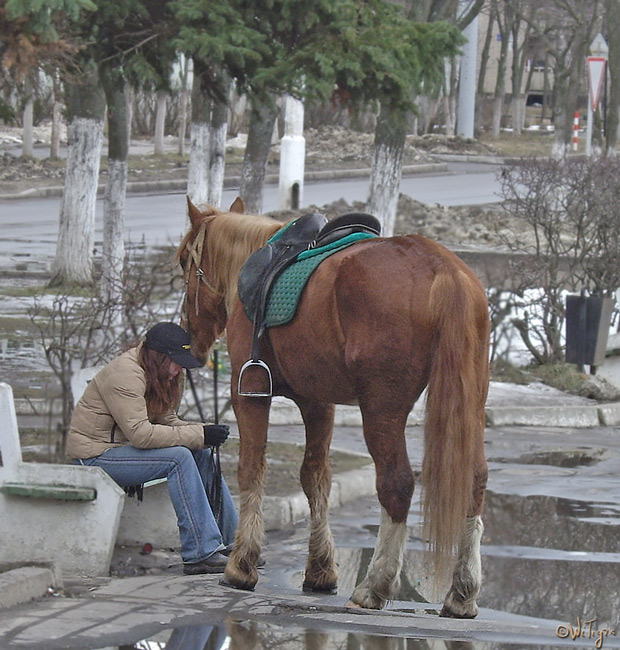 photo "Spring, and to be rolled nobody wants:- (" tags: genre, reporting, 