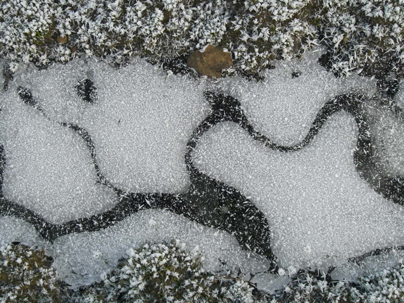 photo "Patterns in a Frozen Puddle" tags: nature, 