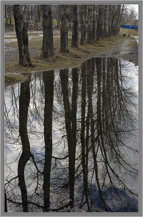 фото "Прорастая сквозь землю..." метки: пейзаж, весна, вода