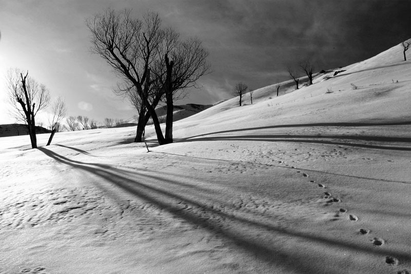 photo "B/W 1" tags: landscape, winter