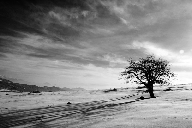 photo "B/W 2" tags: landscape, winter