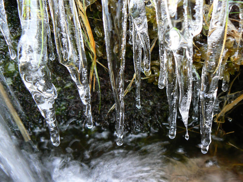 photo "The Thaw" tags: macro and close-up, nature, 