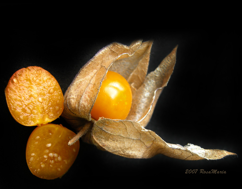 photo "Flower or Fruit?" tags: macro and close-up, nature, flowers