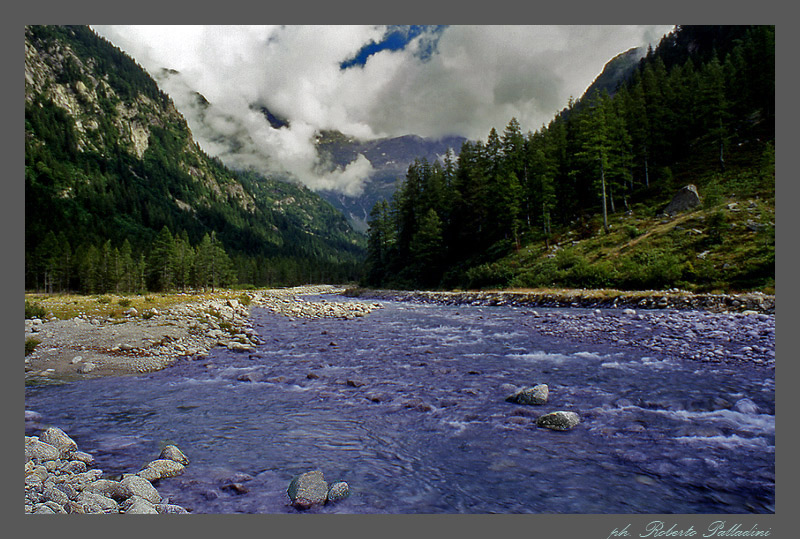 фото "the river" метки: пейзаж, вода