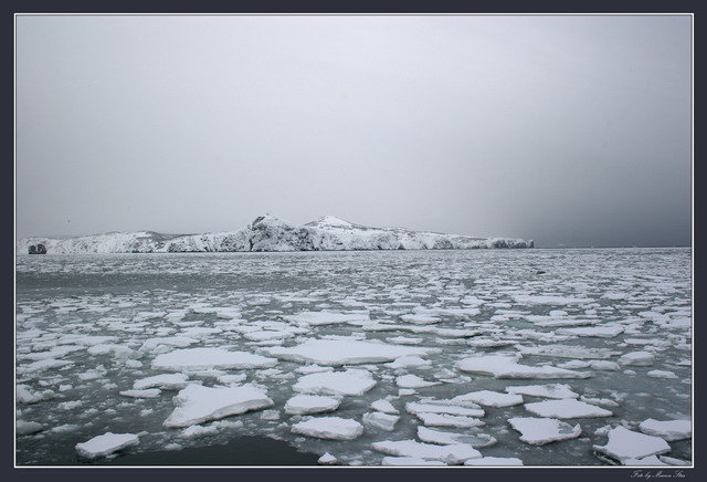 photo "***" tags: landscape, winter