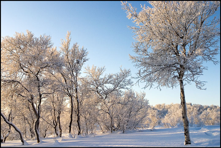 фото "***" метки: пейзаж, зима