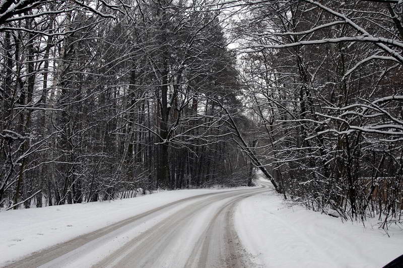 photo "***" tags: landscape, forest, winter