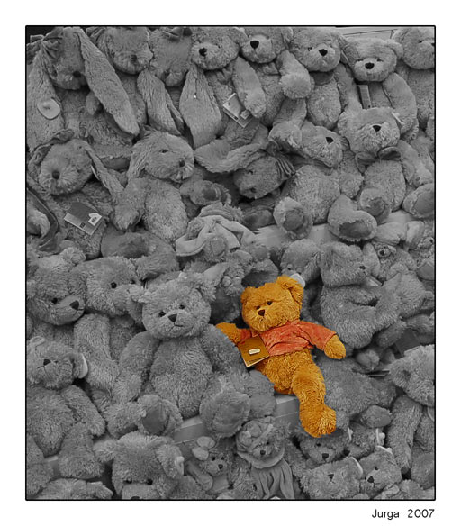 фото "Teddy bears" метки: разное, 