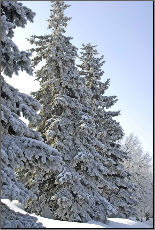 фото "21 день Весны..." метки: пейзаж, весна