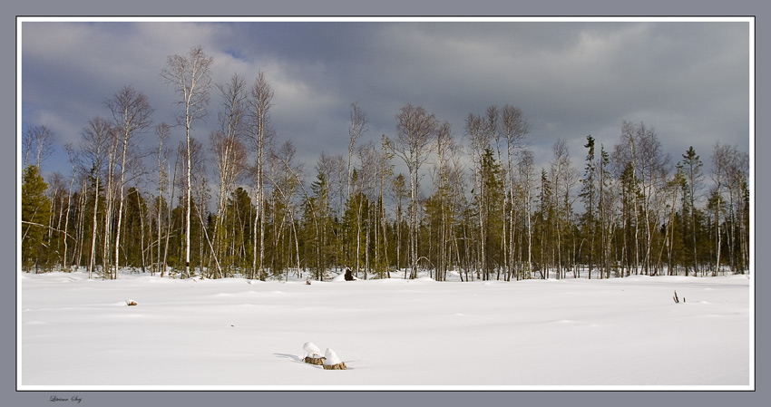 photo "***" tags: landscape, winter