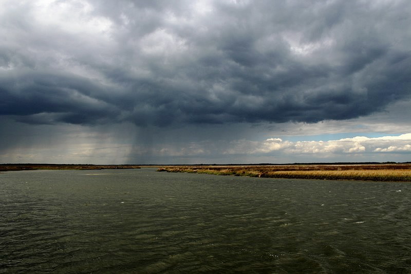 фото "Rain" метки: пейзаж, 