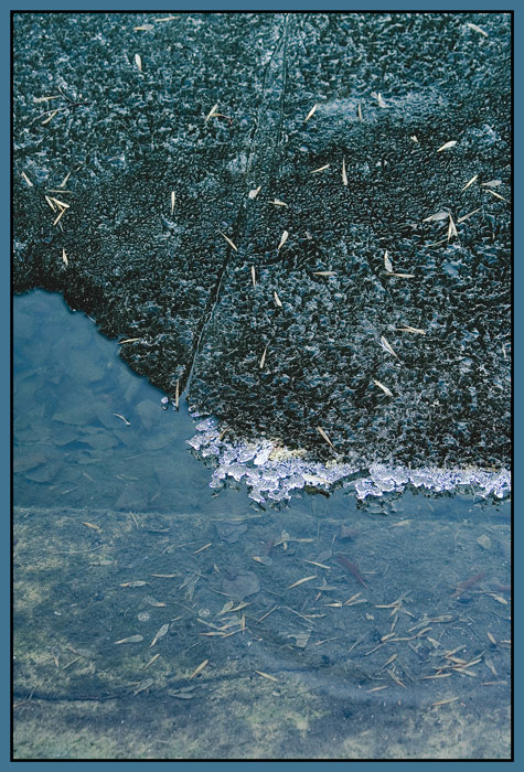 фото "Весна на Чистых прудах" метки: пейзаж, природа, вода