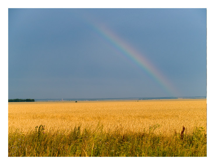 фото "Дауга. Август" метки: пейзаж, лето