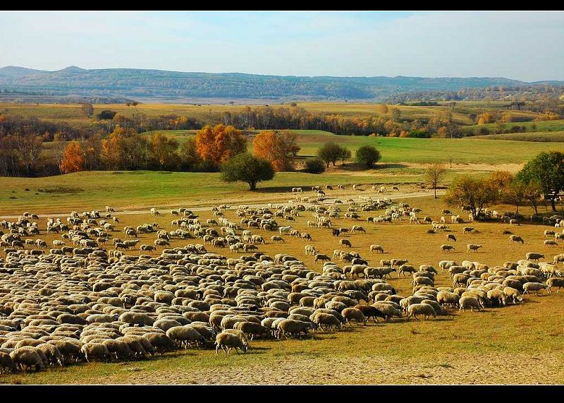 photo "grassland" tags: travel, landscape, Asia