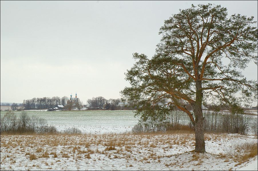 photo "Bizarre January 2007" tags: landscape, nature, winter