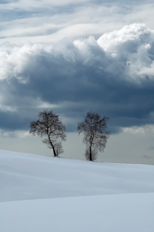 photo "Duet" tags: landscape, mountains, winter