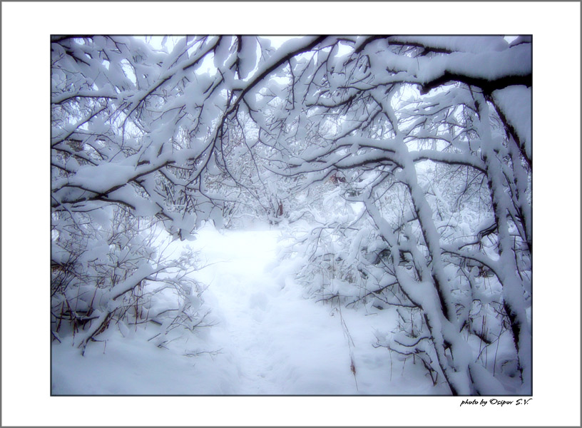 photo "***" tags: landscape, winter