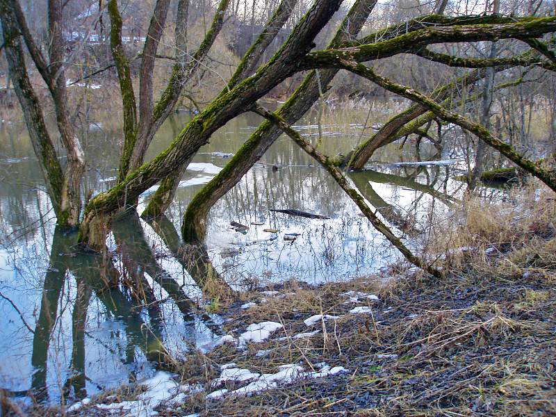 фото "Потоп районного розлива" метки: пейзаж, весна