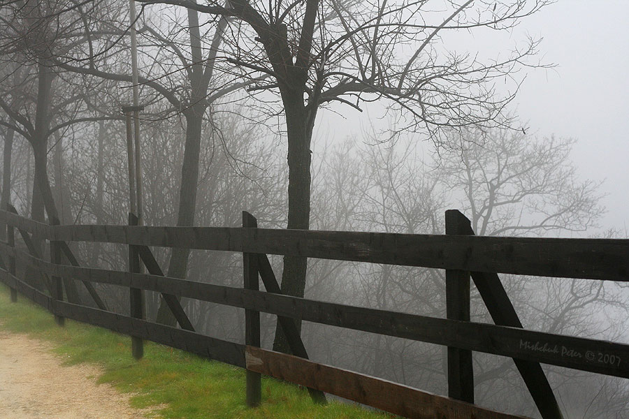 photo "Mist" tags: landscape, forest, spring