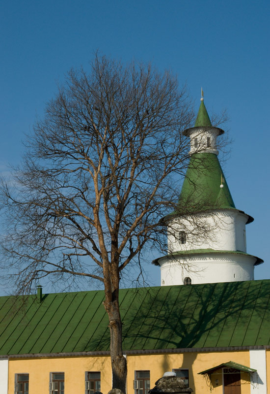 фото "Дерево и башня." метки: архитектура, пейзаж, 