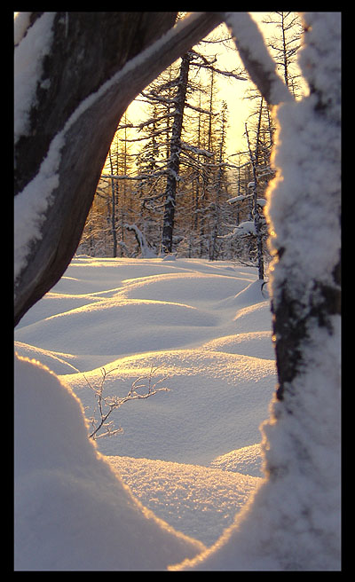 фото "Окно в сказку" метки: пейзаж, зима, лес