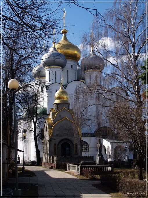 фото "Новодевичий" метки: архитектура, пейзаж, 