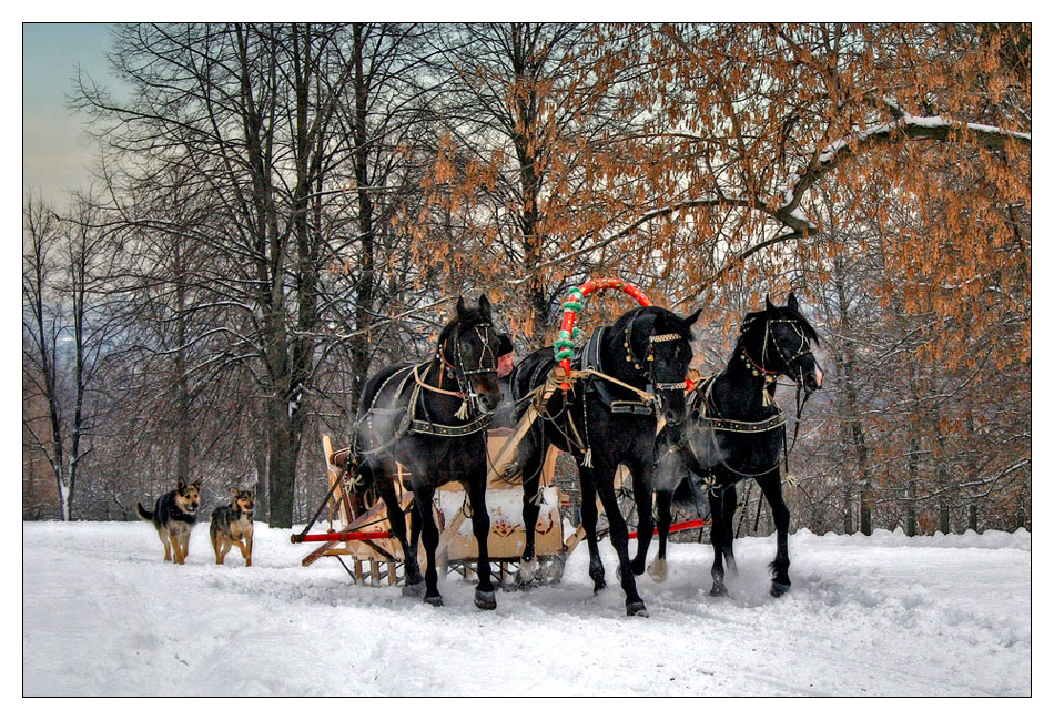 photo "Winter" tags: genre, landscape, winter