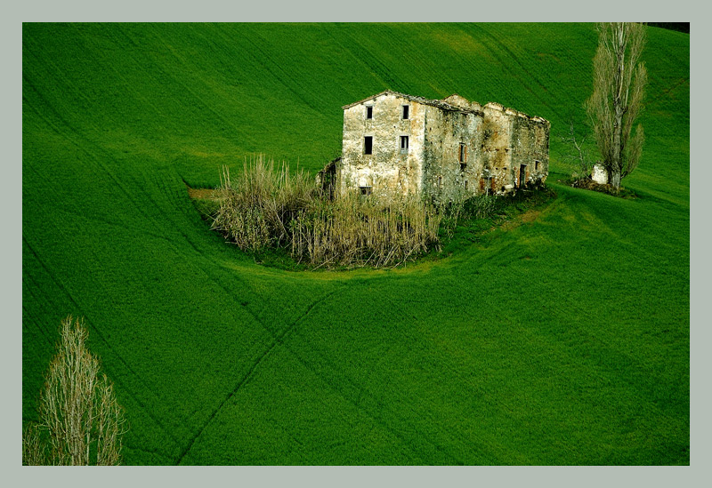 фото "green" метки: пейзаж, горы