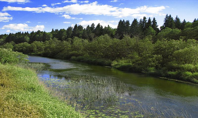 photo "***" tags: landscape, water