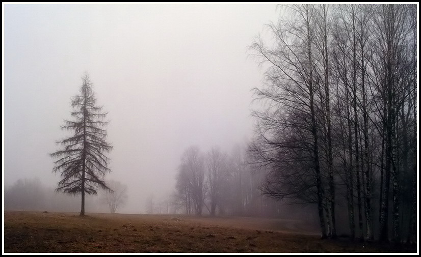 фото "ОДИНочество" метки: пейзаж, осень