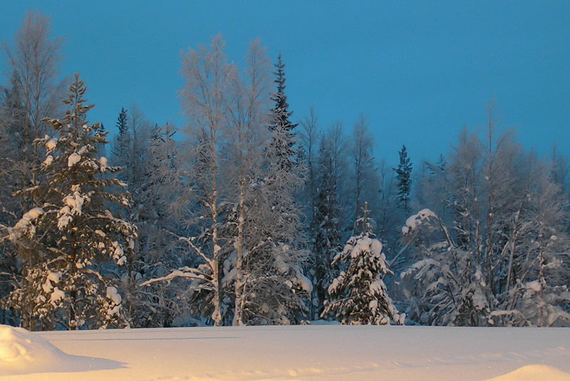 фото "Короткий зимний день" метки: пейзаж, природа, зима