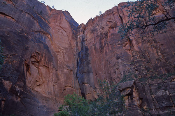 фото "Zion" метки: путешествия, Северная Америка