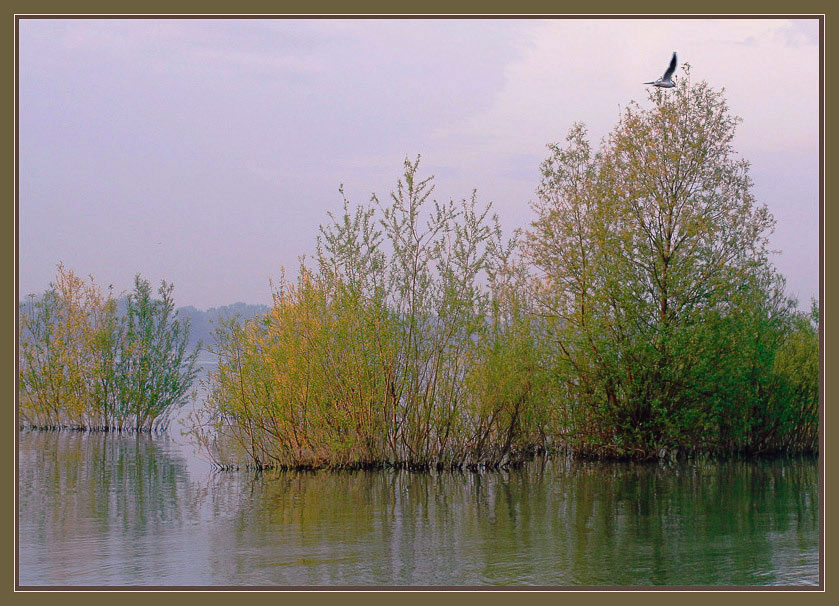 photo "***" tags: landscape, spring