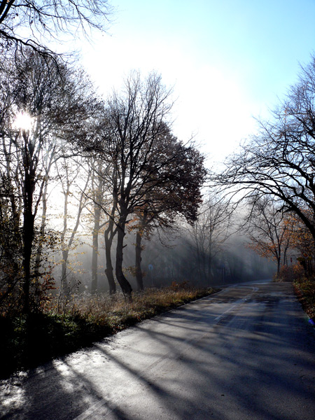 photo "Shumen Plateu II" tags: nature, landscape, spring